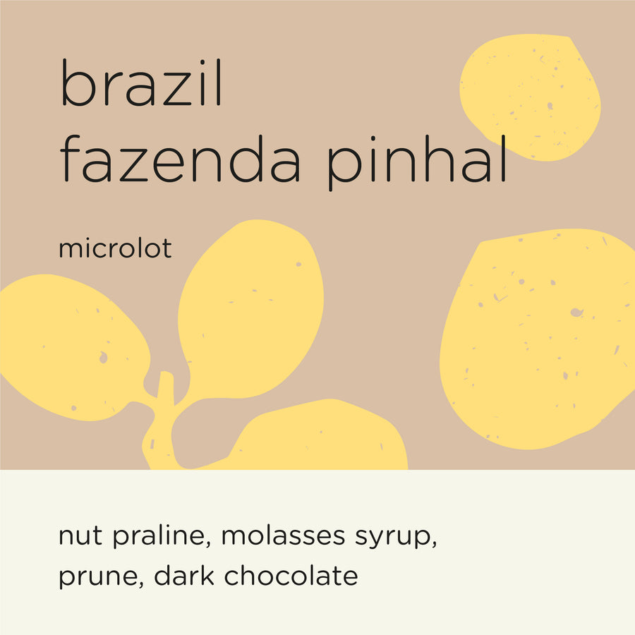 BRAZIL FAZENDA PINHAL microlot