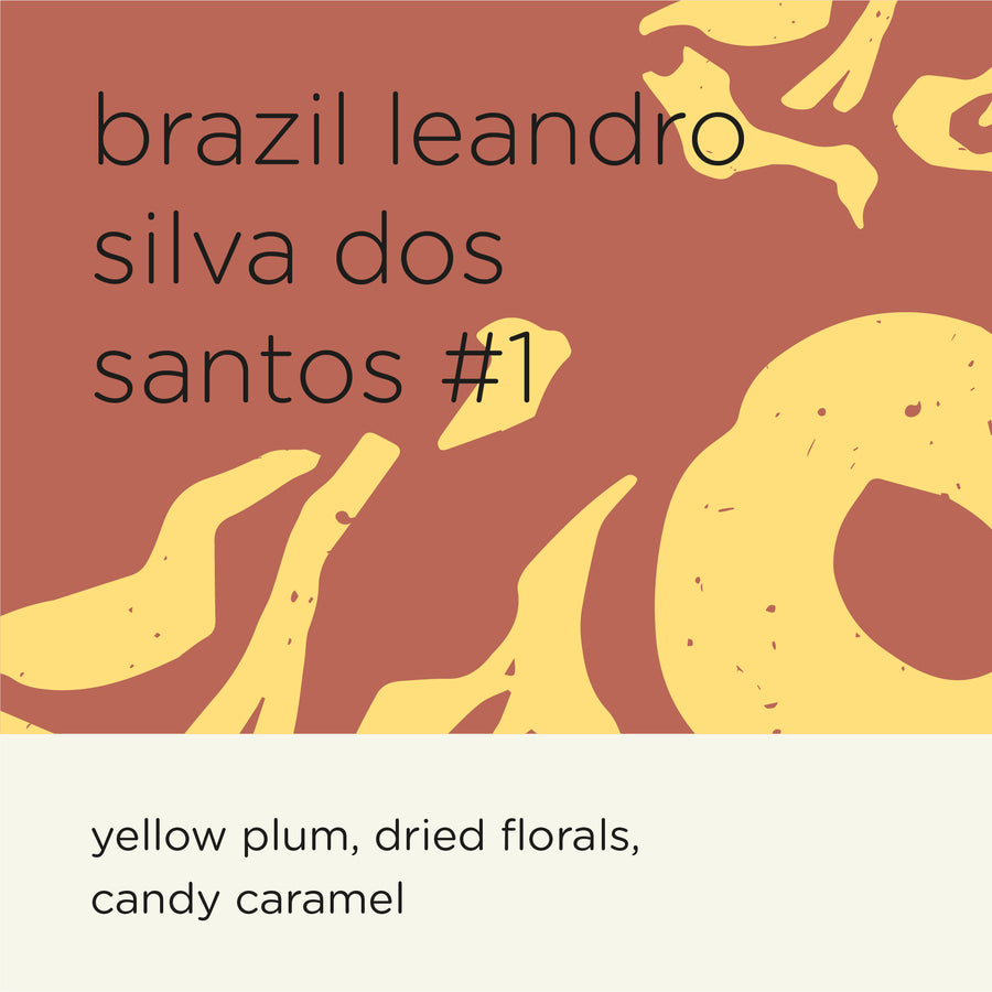 BRAZIL LEANDRO SILVA DOS SANTOS #1