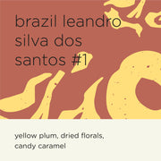 [RAW BEANS] BRAZIL LEANDRO SILVA DOS SANTOS #1
