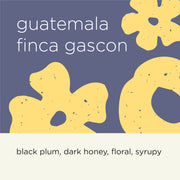 GUATEMALA FINCA GASCON (SHIO KOJI HONEY)