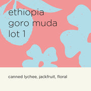 ETHIOPIA GORO MUDA LOT 1