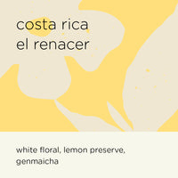 COSTA RICA EL RENACER