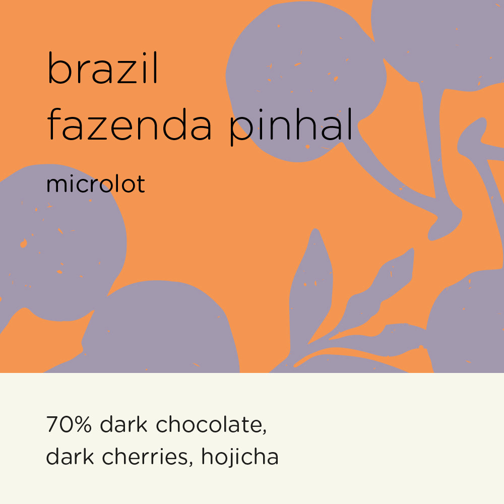 BRAZIL FAZENDA PINHAL microlot