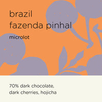 BRAZIL FAZENDA PINHAL microlot