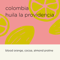 COLOMBIA HUILA LA PROVIDENCIA (Roast date: 20/11)