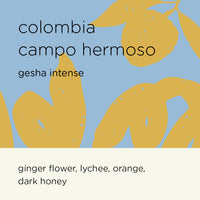 COLOMBIA CAMPO HERMOSO gesha intense