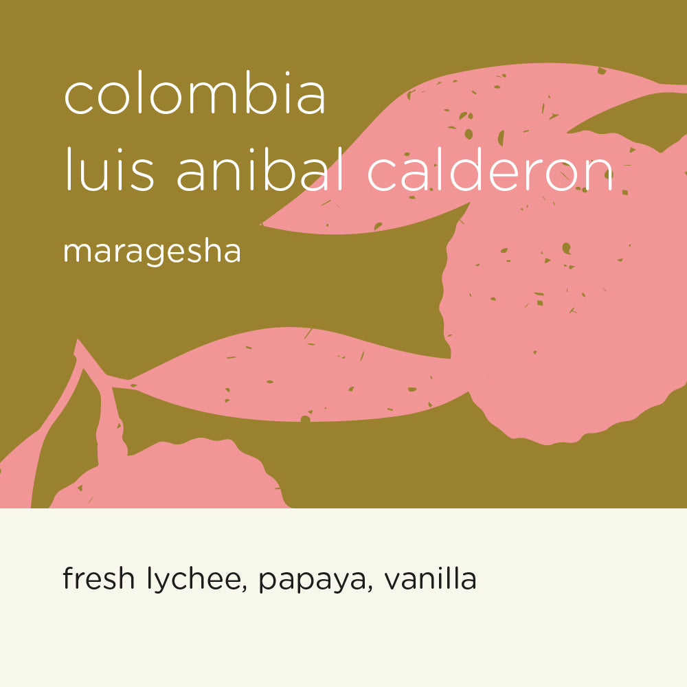COLOMBIA LUIS ANIBAL CALDERON maragesha