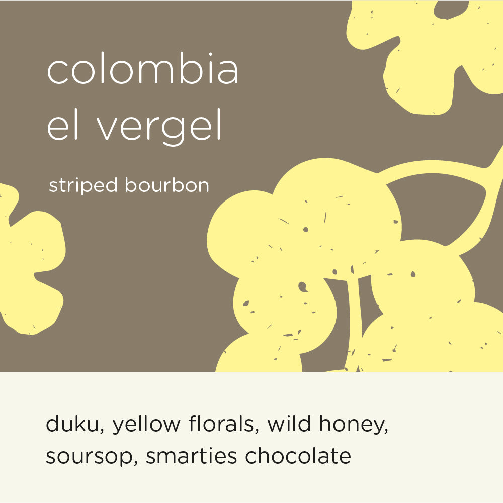 COLOMBIA EL VERGEL STRIPED BOURBON