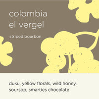 COLOMBIA EL VERGEL STRIPED BOURBON