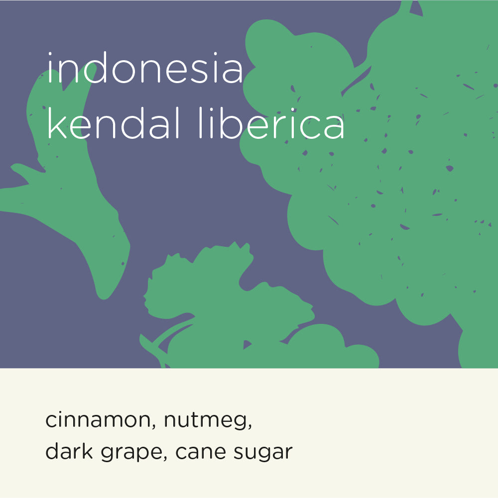 INDONESIA KENDAL LIBERICA (Roast Date : 29/09)