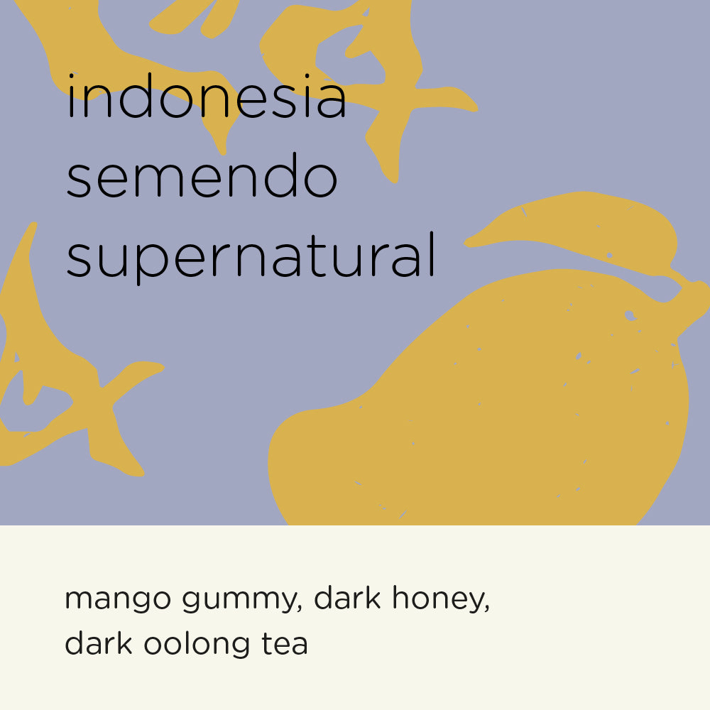 The Roast Things Indonesia Semendo Supernatural – specialty coffee beans Malaysia