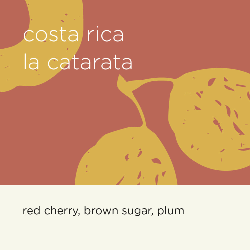 COSTA RICA LA CATARATA