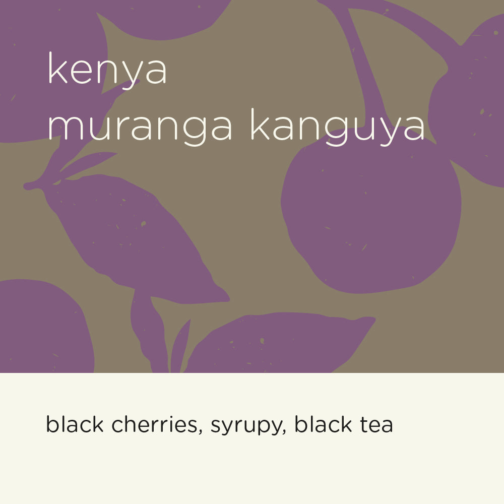 KENYA MURANGA KANGUYA