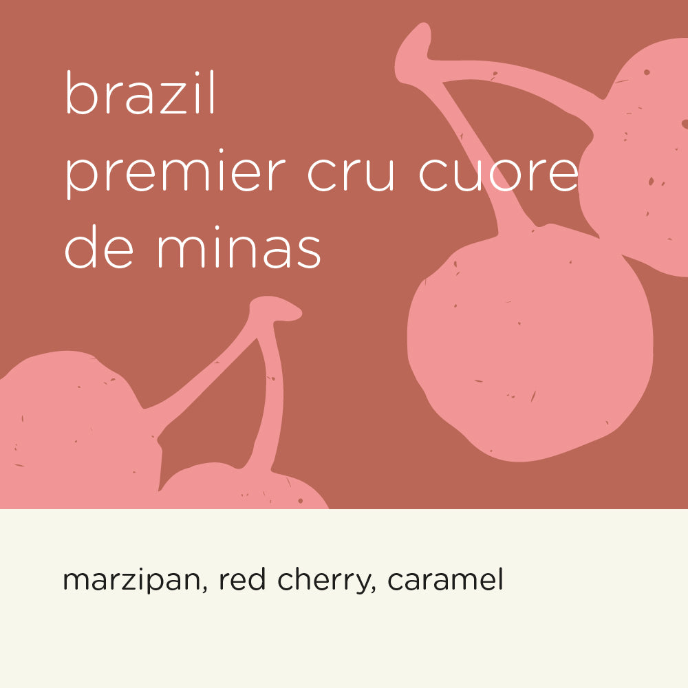 BRAZIL PREMIER CRU CUORE DE MINAS (Roast date : 08/12/2025)