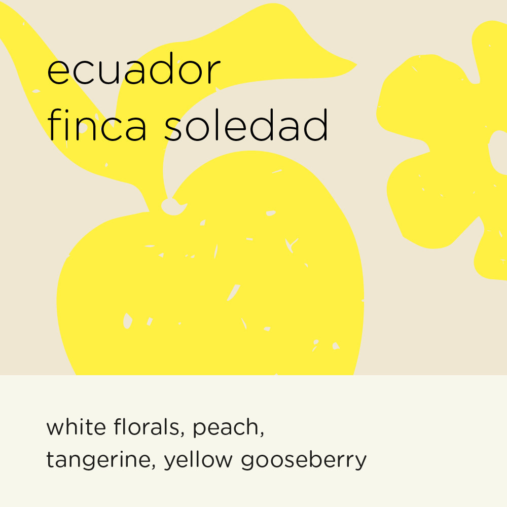 Ecuador finca Soledad