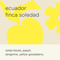 Ecuador finca Soledad