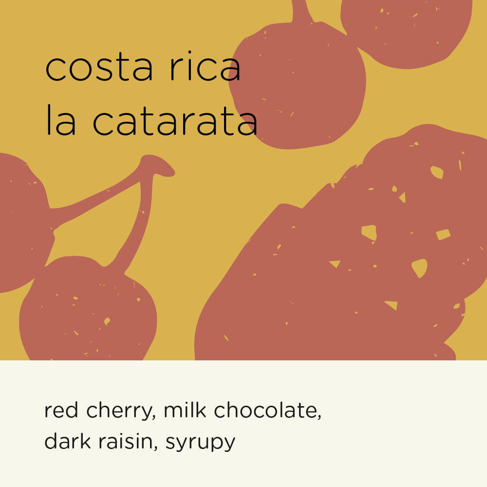 COSTA RICA LA CATARATA
