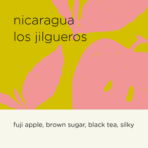 NICARAGUA LOS JILGUEROS