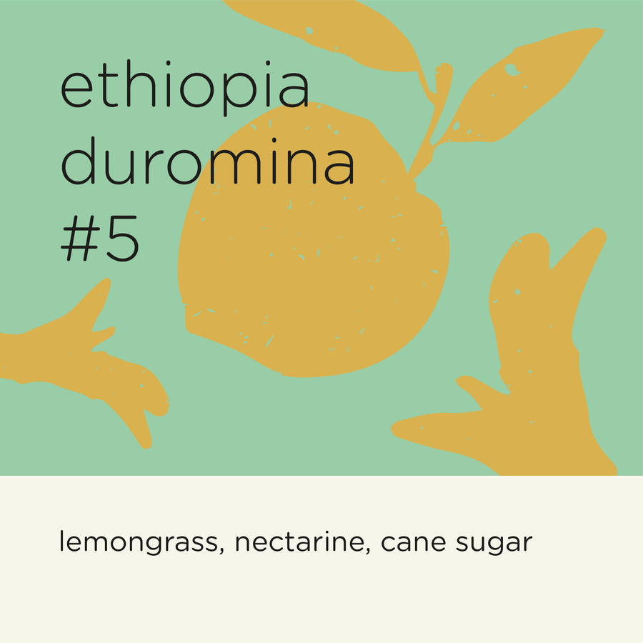 ETHIOPIA DUROMINA #5