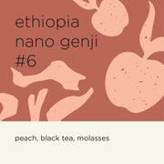 ETHIOPIA NANO GENJI #6
