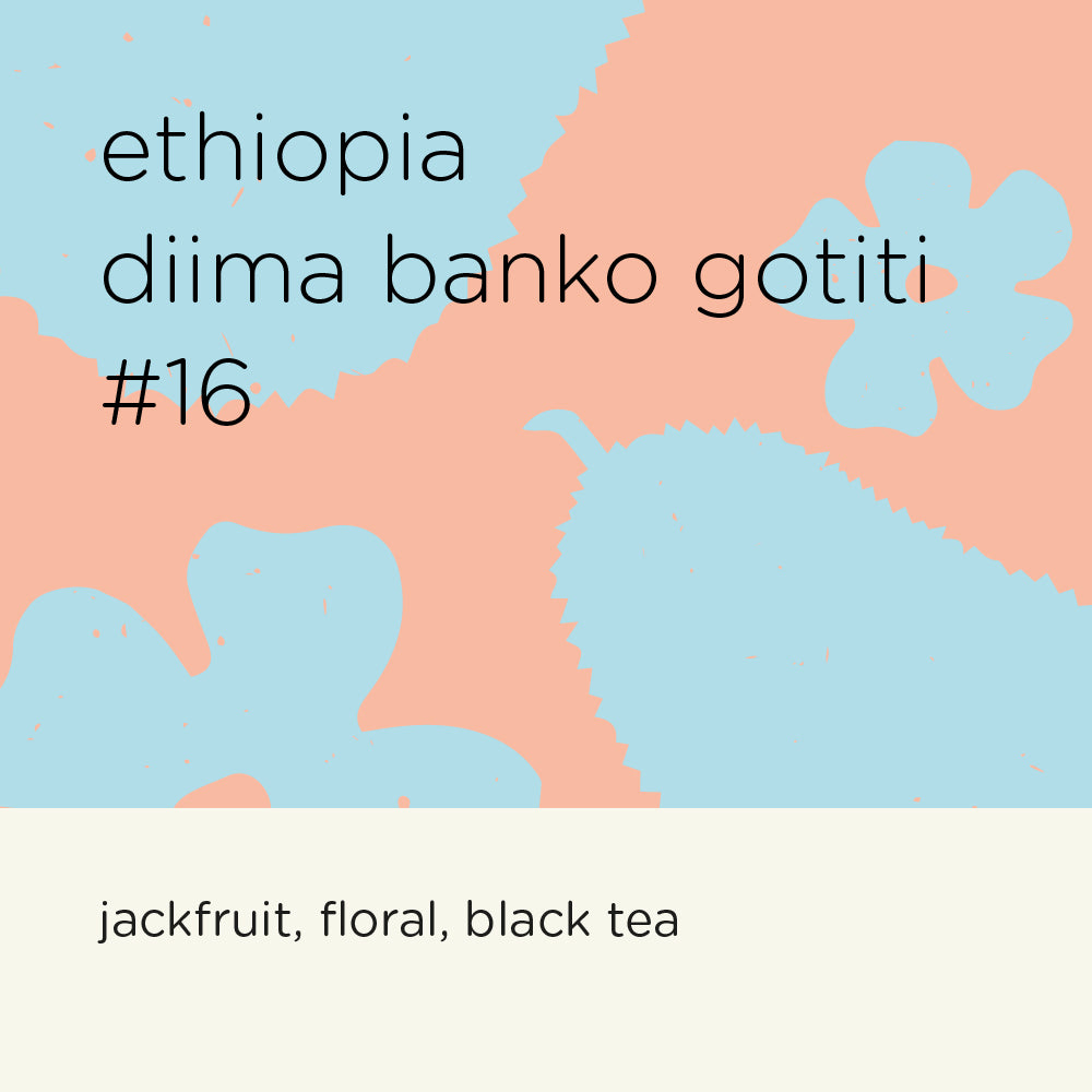The Roast Things Ethiopia Diima Banko Gotiti #16 – specialty coffee beans Malaysia