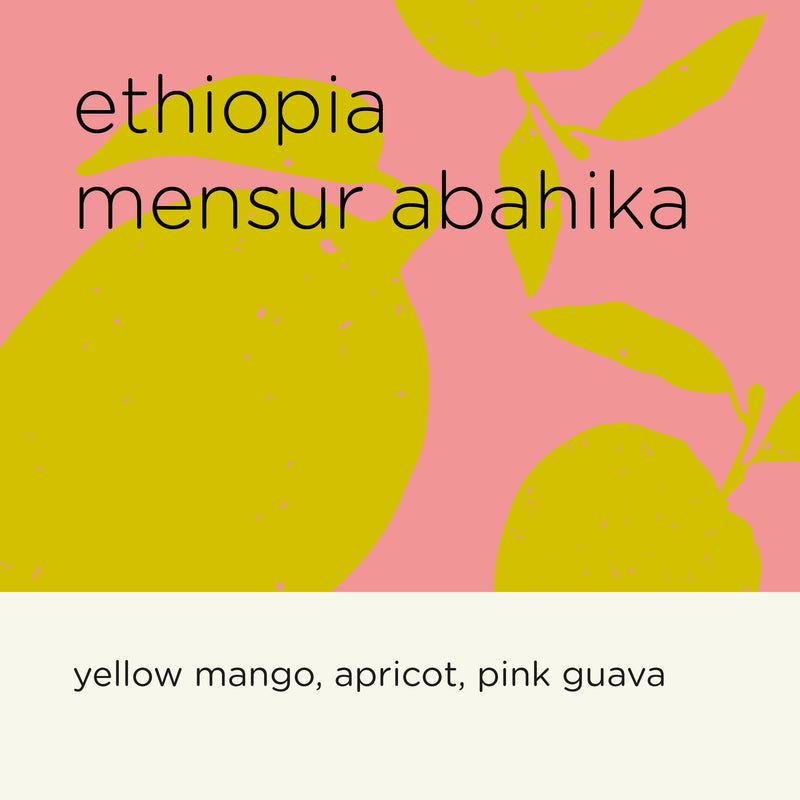 ETHIOPIA MENSUR ABAHIKA