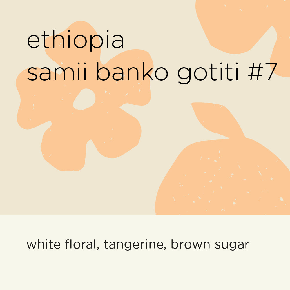 The Roast Things Ethiopia Samii Banko Gotiti #7 – specialty coffee beans Malaysia