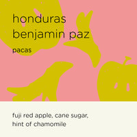HONDURAS BENJAMIN PAZ - pacas washed