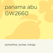 PANAMA ABU GW2660