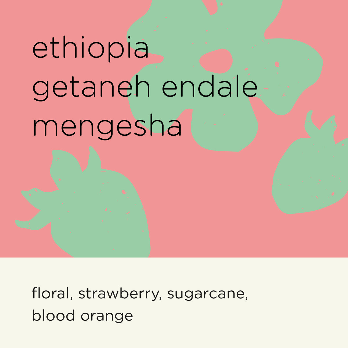 ETHIOPIA GETANEH ENDALE MENGESHA