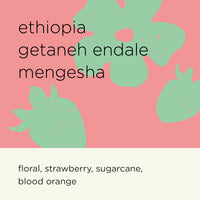 ETHIOPIA GETANEH ENDALE MENGESHA