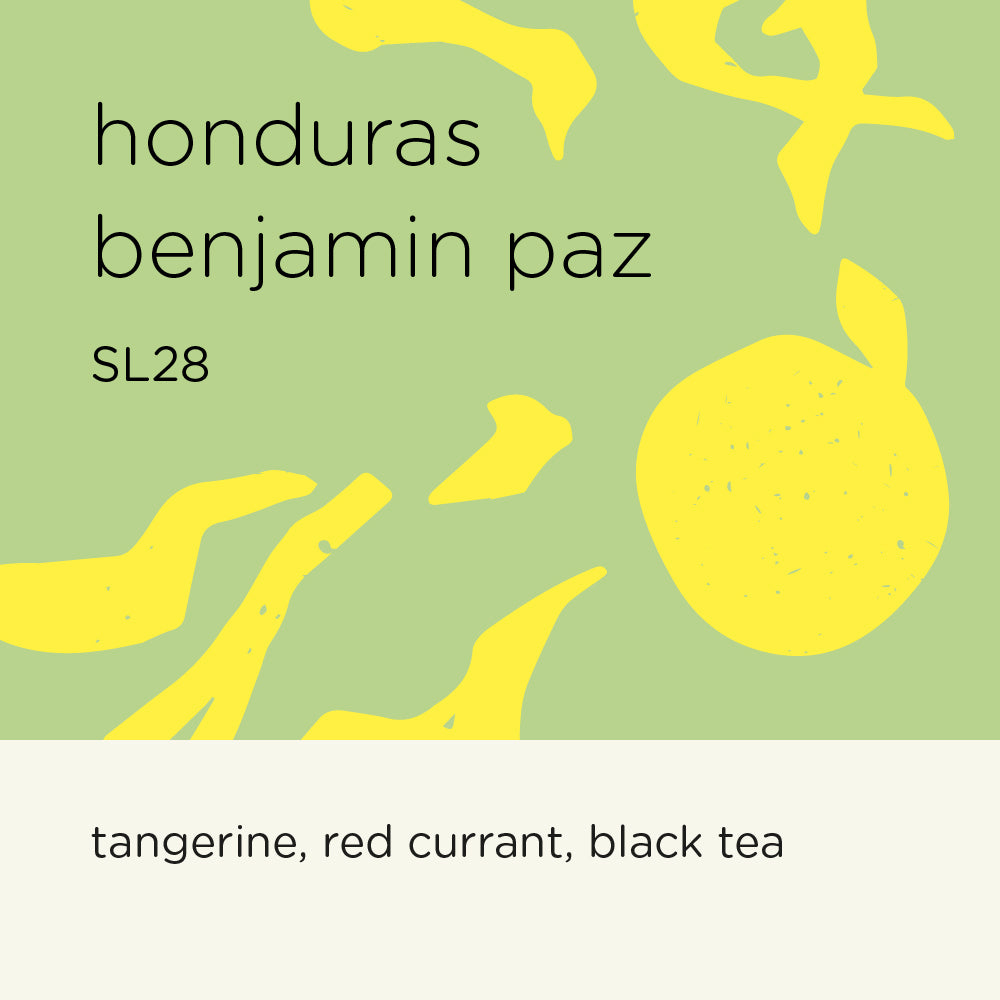 HONDURAS BENJAMIN PAZ - SL28