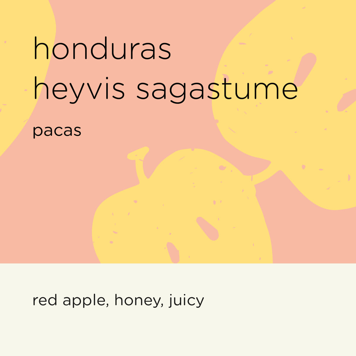 The Roast Things Honduras Heyvis Sagastume - Pacas – specialty coffee beans Malaysia