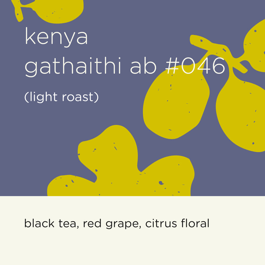 KENYA GATHAITHI AB #046 (light roast)