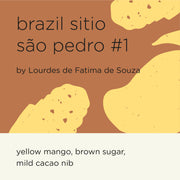 BRAZIL SITIO SAO PEDRO #1 By Lourdes de Fatima de Souza