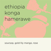 ETHIOPIA KONGA HAMERAWE
