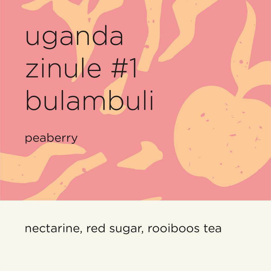 UGANDA ZINULE #1 - BULAMBULI peaberry