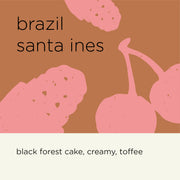 BRAZIL SANTA INES