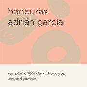 HONDURAS ADRIAN GARCIA