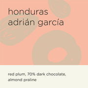 [RAW BEANS] HONDURAS ADRIAN GARCIA