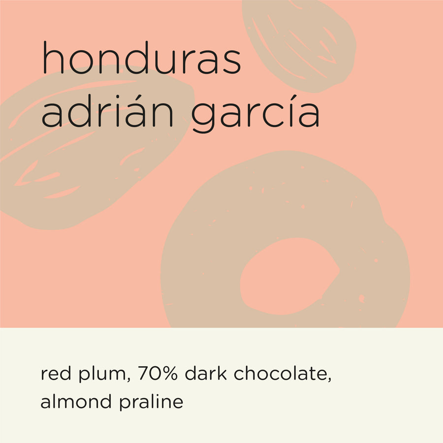 [RAW BEANS] HONDURAS ADRIAN GARCIA