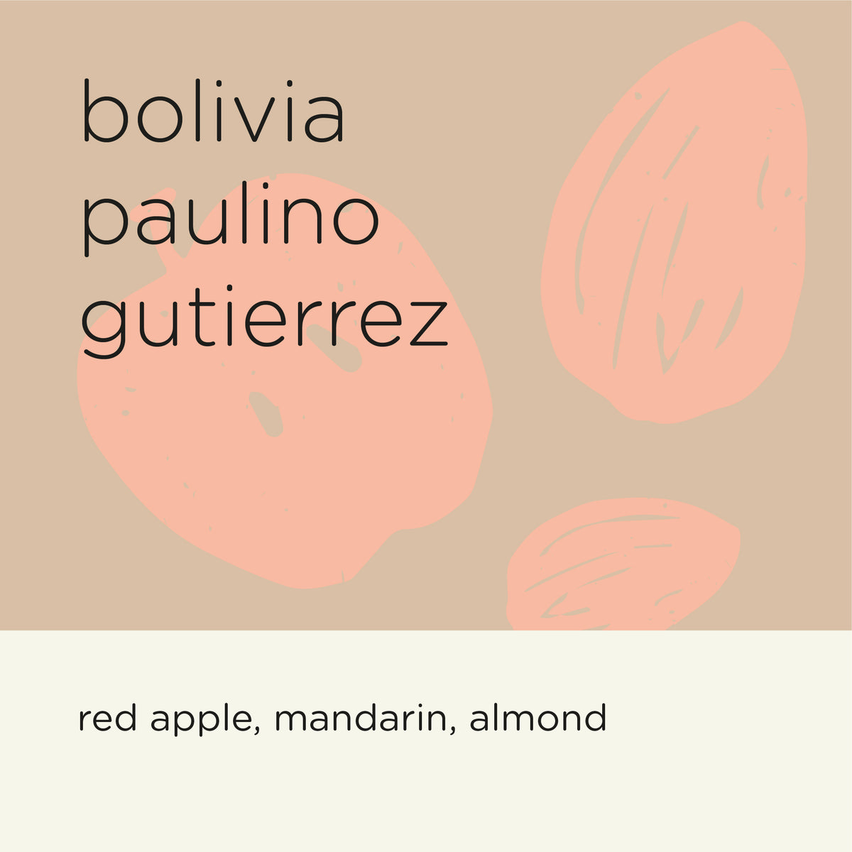 BOLIVIA PAULINO GUTIERREZ (filter)