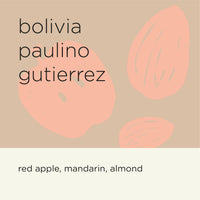 BOLIVIA PAULINO GUTIERREZ (filter)