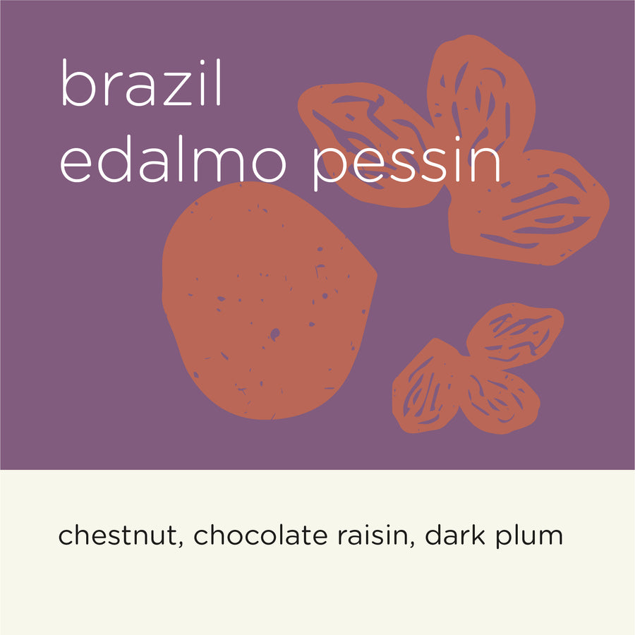 BRAZIL EDALMO PESSIN (ROAST DATE: 19/09)