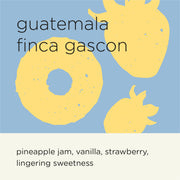 GUATEMALA FINCA GASCON (LACTIC 2 + NATURAL) (ROAST DATE: 21/09)