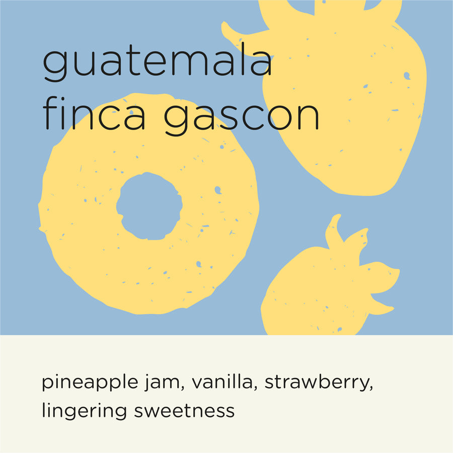 GUATEMALA FINCA GASCON (LACTIC 2 + NATURAL) (ROAST DATE: 21/09)