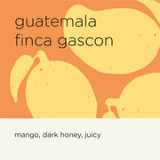 GUATEMALA FINCA GASCON