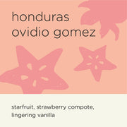 HONDURAS OVIDIO GOMEZ