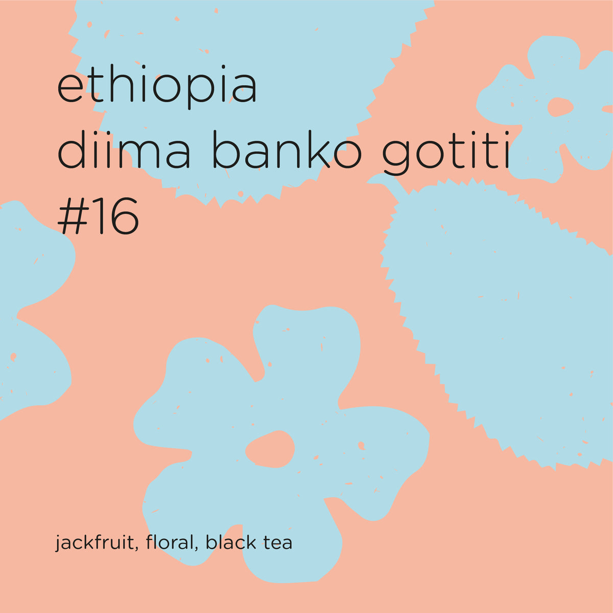 ETHIOPIA DIIMA BANKO GOTITI #16