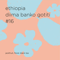 ETHIOPIA DIIMA BANKO GOTITI #16